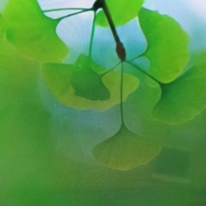 Meet your Posher, Eddie